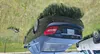 WDDGF8BB3CR193809: 62795425