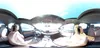 WAUA2AFDXDN011074: 61535845