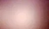 WA1AAAFY8M200351: 59569575
