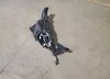 SALYL2EV8KA787456: 64682895