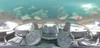 5YJ3E1EC1LF713907: 64644145