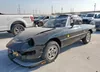 ZARBA5417G1036719: 80464765