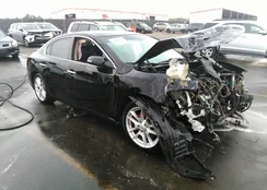 1N4AA51E29C842915: 32064770