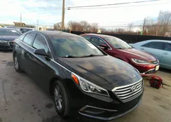 5NPE24AF9HH572001: 35349711