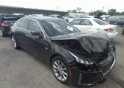 1G6DN5RW6N0116224: 37204600