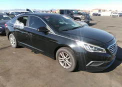 5NPE24AF5GH354202: 37521086