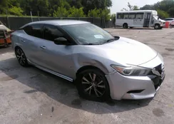 1N4AA6AP0GC436815: 36719004