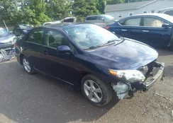 2T1BU4EE5CC902954: 36850228