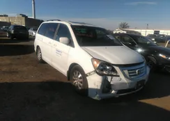 5FNRL38769B410267: 38007216