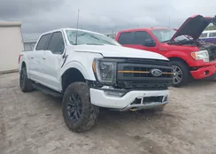 1FTEW1E88NFB75187: 38037171