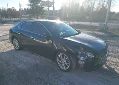 1N4AA5AP7EC456809: 38111370