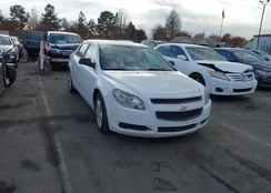 1G1ZB5E10BF388551: 38116214