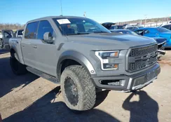 1FTFW1RG6JFA16989: 38217632