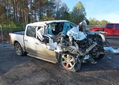 1FTFW1E51NKD48551: 38248643