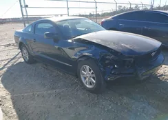 1ZVHT80N985131766: 38253127