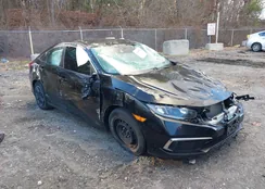 2HGFC2F67LH564982: 38318926