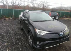 JTMRJREV5GD032698: 38339016