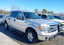 1FTFW1CF5EKE92096: 38398724