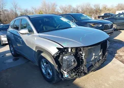 5NMJB3DE1RH339966: 38441863