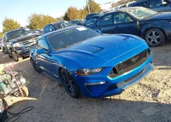 1FA6P8CF2L5185265: 38448636