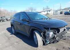 5NMJBCDE4RH294246: 38467298