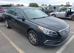 5NPE24AF2HH561891: 37680597