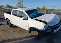 1GCGTDEN1H1322475: 37730560