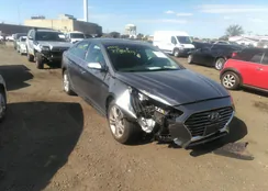 5NPE34AF1JH644957: 37788309