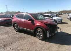 5J6RT6H81NL006630: 37820865