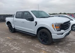 1FTEW1CP0NKD01415: 37876652