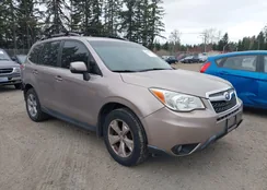 JF2SJAMCXEH409262: 38997913