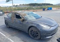 5YJ3E1EB1MF879787: 39079950