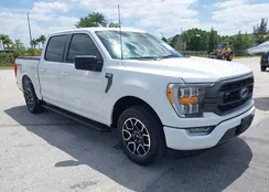 1FTEW1CP4NFC09359: 39109033