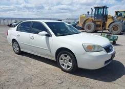 1G1ZT58N87F114923: 39132833