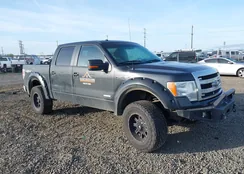 1FTFW1ET2EFC55769: 39176953