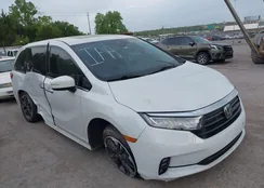 5FNRL6H98NB039951: 39264559