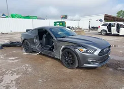 1FA6P8TH4F5382444: 39301182