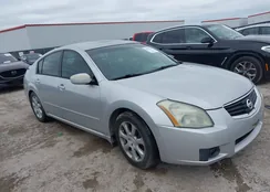 1N4BA41EX7C845704: 39312294