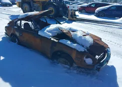 HLS30458019: 39324106