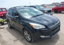 1FMCU0H9XDUA58860: 39395029