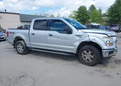 1FTEW1EG5GFB30816: 39396264