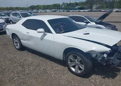 2C3CDZAG1MH546880: 39414571