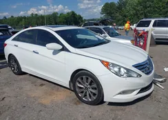 5NPEC4AC1CH367462: 39511371