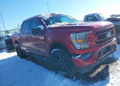 1FTFW1ED1NFB74349: 38522502