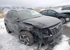 5NMJECDE5RH310400: 38523028