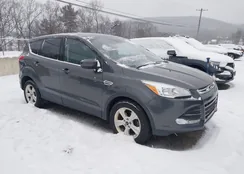 1FMCU0G70FUA64895: 38534515