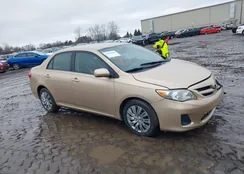 5YFBU4EE6CP029974: 38568468