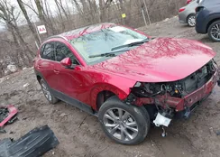 3MVDMBDL8MM318441: 38619658