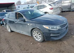 5XXGU4L36GG055030: 38681551