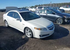 19UUA66218A010313: 38703953